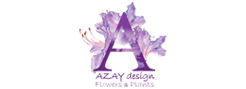Azay Design
